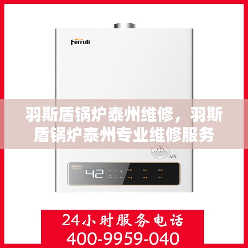 羽斯盾锅炉泰州维修，羽斯盾锅炉泰州专业维修服务