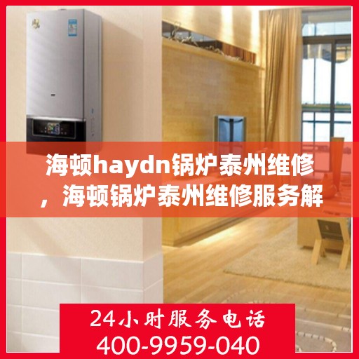 海顿haydn锅炉泰州维修，海顿锅炉泰州维修服务解析