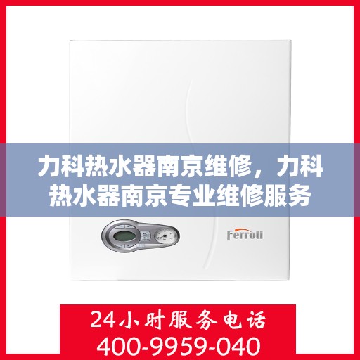 力科热水器南京维修，力科热水器南京专业维修服务